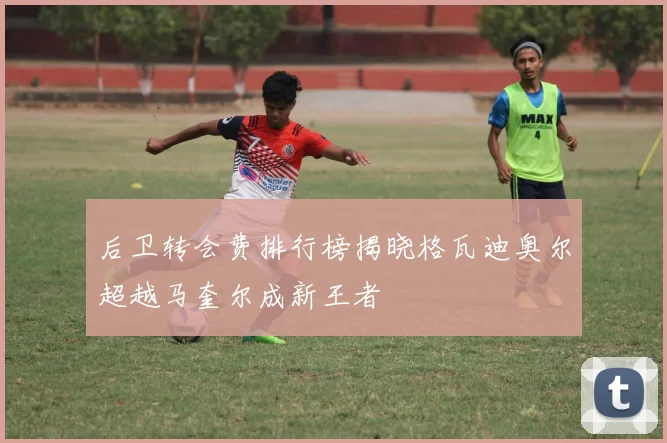 后卫转会费排行榜揭晓格瓦迪奥尔超越马奎尔成新王者